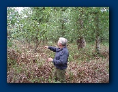 That aerial runs along there - it's hard to see